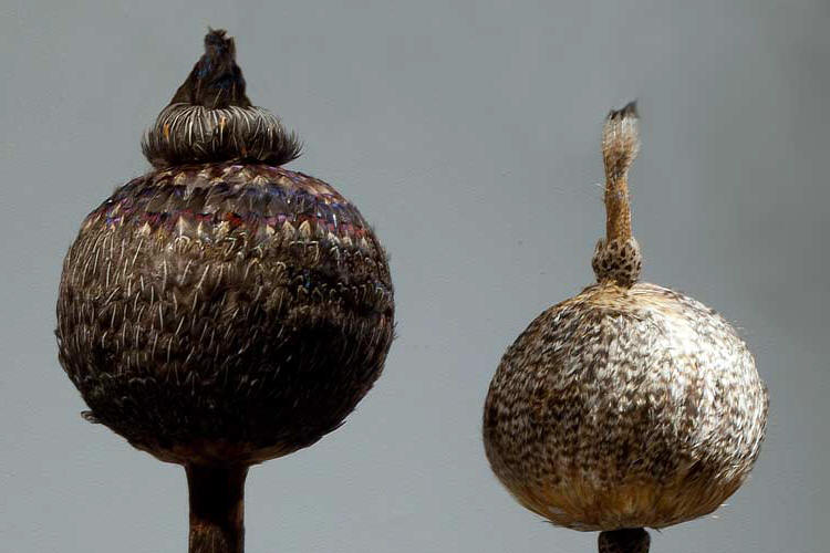 Sauli Miettunen exhibition: K&ouml;t&ouml;styksi&auml;.